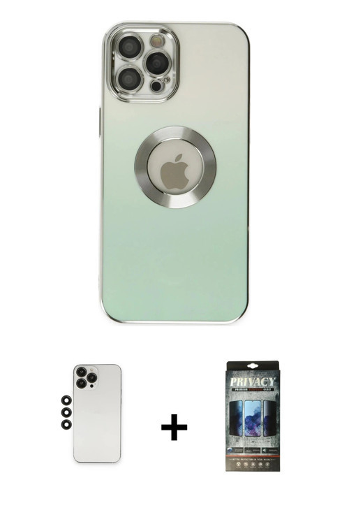 ieg™ iPhone 12 Pro Kılıf Kutup Yansıma Özel Seri - Siyah 34D Hayalet Izgaralı Cam + Siyah Shine Kame