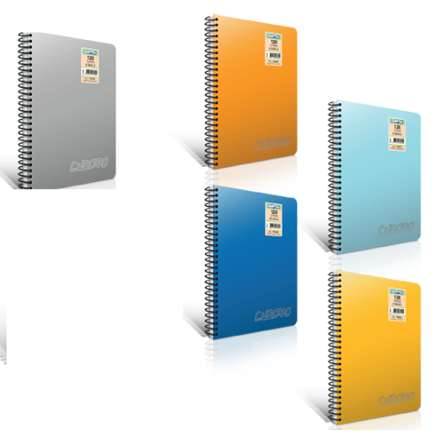 Gıpta Chromo Plastik Kapak Spiralli Defter A-4 200 Yaprak Çizgili 3-1345000-2012