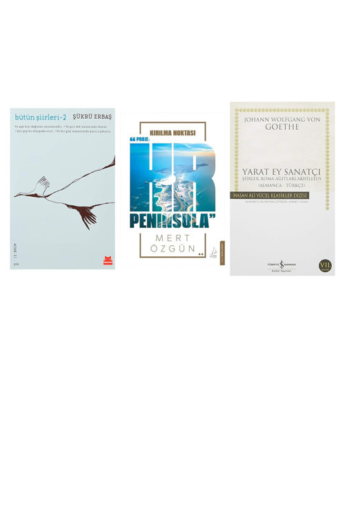Bütün Şiirleri 2 + 2 Kitap Daha (Set)