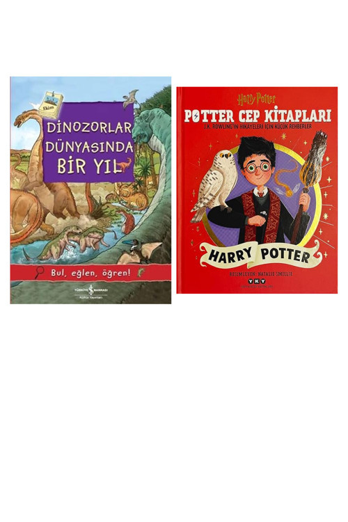Dinozorlar Dünyasında Bir Yıl: Bul, Eğlen, Öğren! + 1 Kitap (Set)