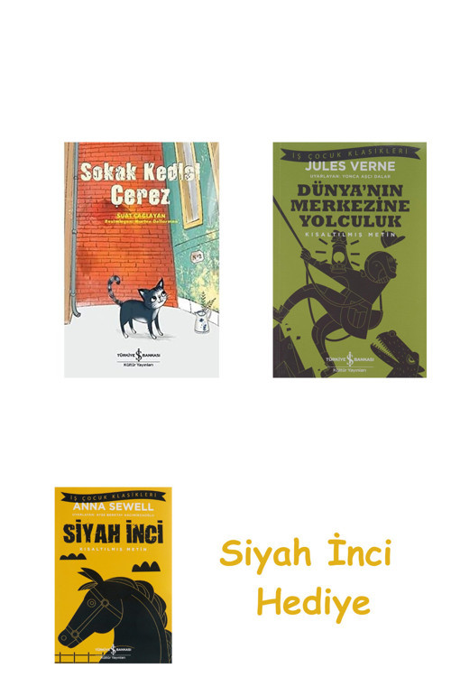 Sokak Kedisi Çerez + Dünyanın Merkezine Yolculuk + Siyah İnci Hediye