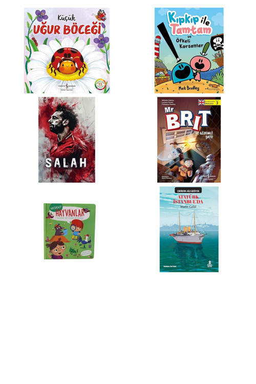 Küçük Uğur Böceği... +5 Çocuk Kitabı