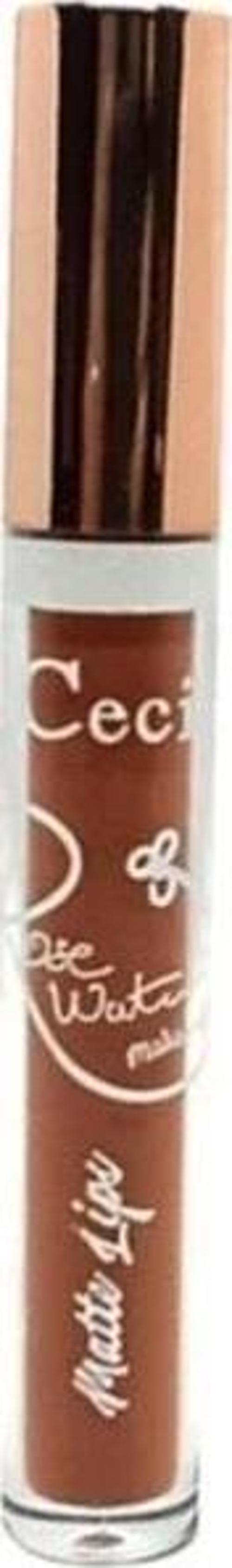 Rose Water Matte Lips Lipgloss 02