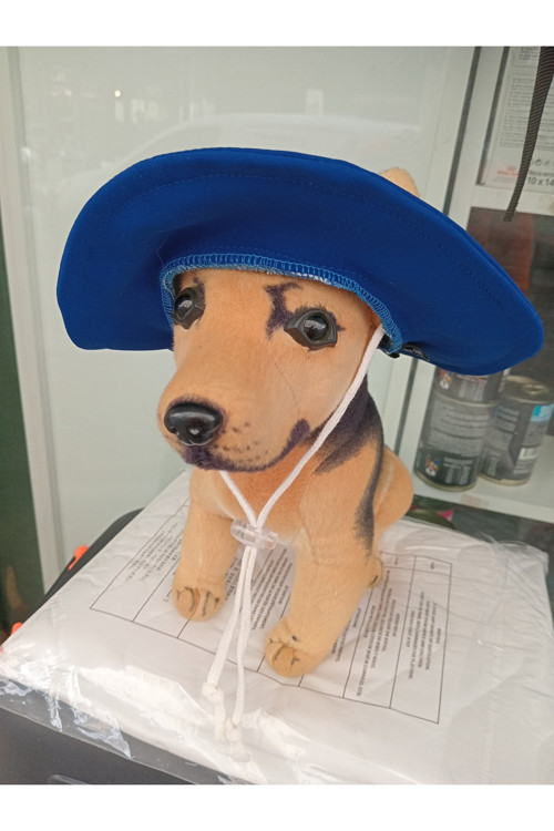 Kedi, küçük irk ve orta ırk köpek için şapka