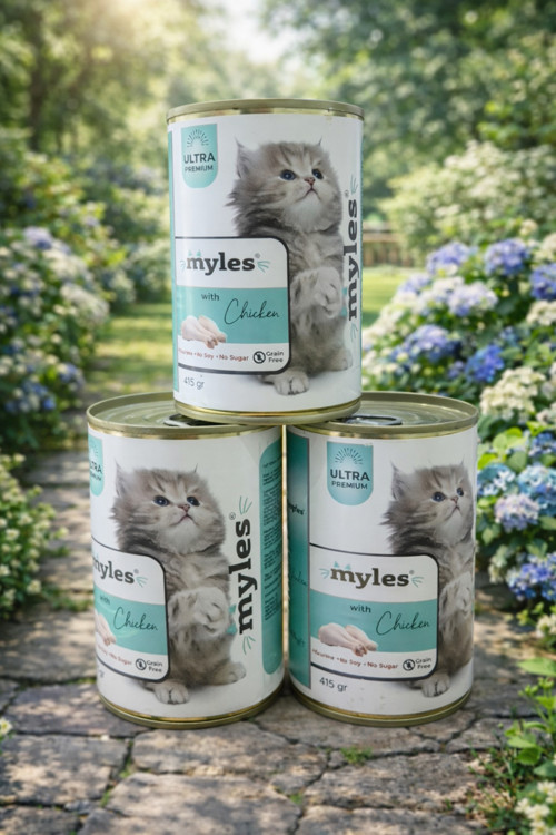3'lü set tavuklu yavru kedi konserve mama