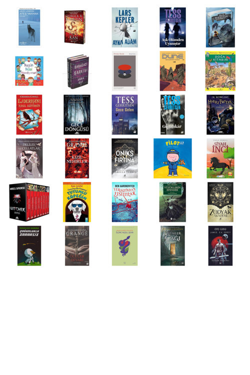 Ateş Yakmak (Ciltli): Modern Klasikler Dizisi + 29 Kitap Daha (Set)