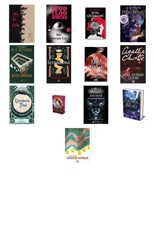 Ateş Ten Gölge + 12 Kitap Daha (Set)