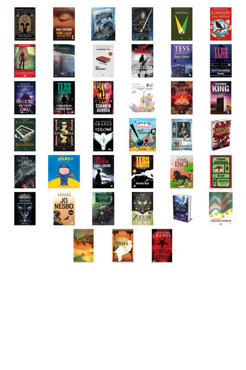 Akhilleus’Un Şarkısı + 38 Kitap Daha (Set)