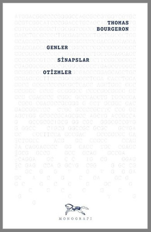 Genler Sinapslar Otizmler