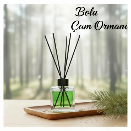 ODA KOKUSU BOLU ÇAM ORMANI (BAMBU ÇUBUKLU) 100 ml