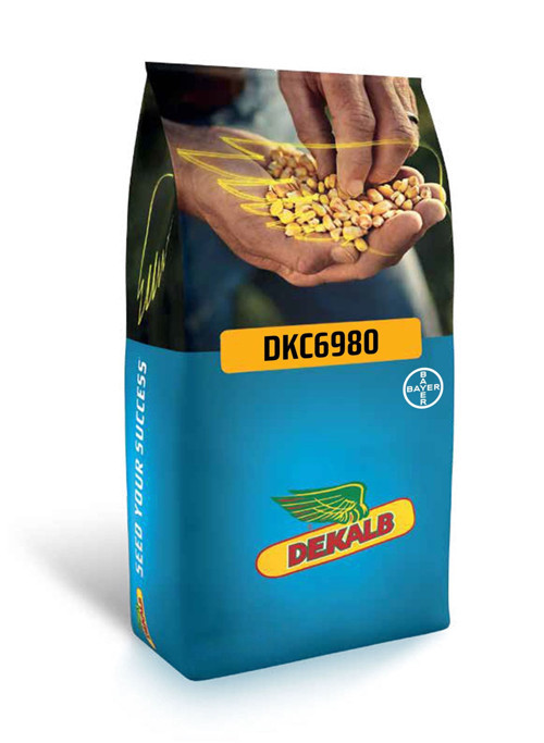 DKC6980 Geçci Danelik Mısır Tohumu