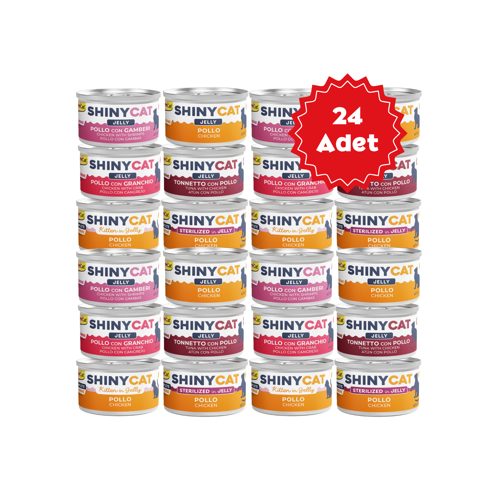 Shinycat Jelly Jöle içinde Tavuklu Karışık Kedi Konserve Maması 70grX24 Adet