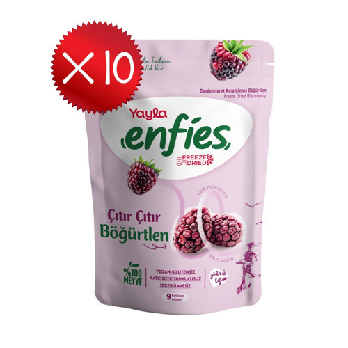 Enfies Freeze Dried Böğürtlen 15 g x10