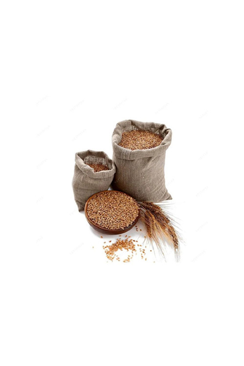 Buğday 5 Kg ( Güvercin Yemi , Kumru , Hindi, Tavuk , Kuş , Bıldırcın Ve Keklik)