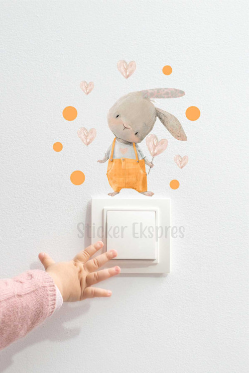Turuncu Tulumlu Tavşan P7 Priz Sticker