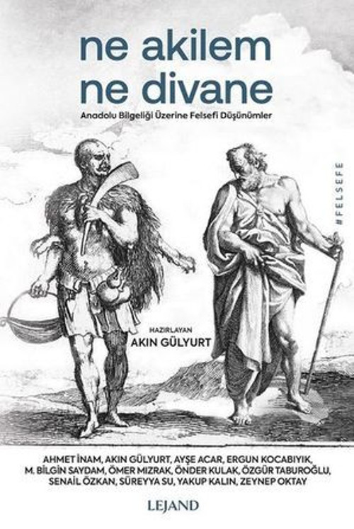 Ne Akilem Ne Divane - Anadolu Bilgeliği Üzerine Felsefi Düşünümler - E-Kitap