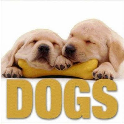 Dogs (Minicube Book)
