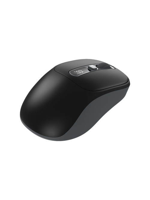 Fm-296Wm Kablosuz Mouse