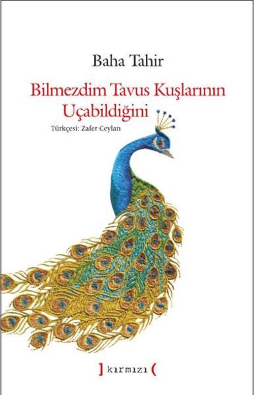 Bilmezdim Tavus Kuşlarının Uçabildiğini