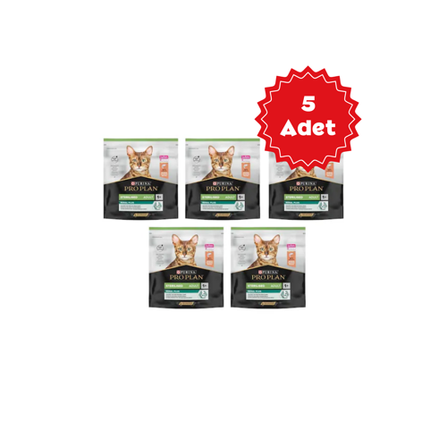 Somonlu Kısırlaştırılmış Kedi Maması 400grX5 Adet