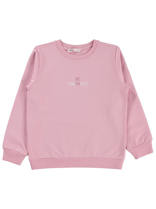 6-9 Yaş Sweatshirt - Pembe