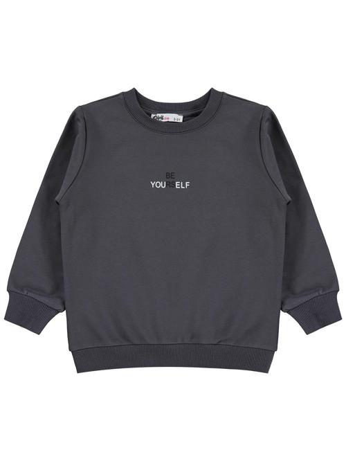2-5 Yaş Sweatshirt - Gri