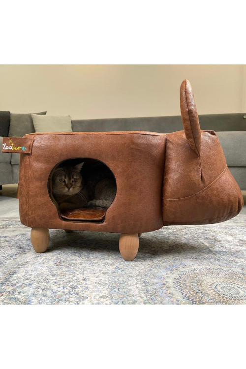 Kedievi Boğa Bulli Kedi Köpek Evi