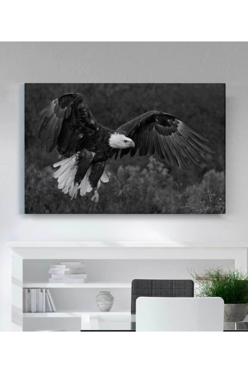 Kartal Kanvas Tablo