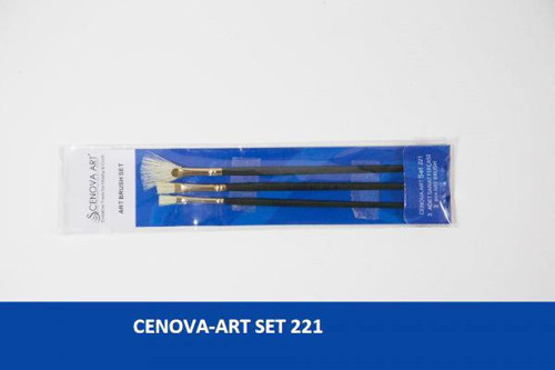 Set 221