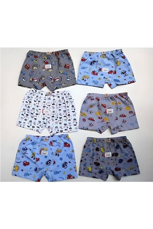Erkek Çocuk 6'lı Boxer
