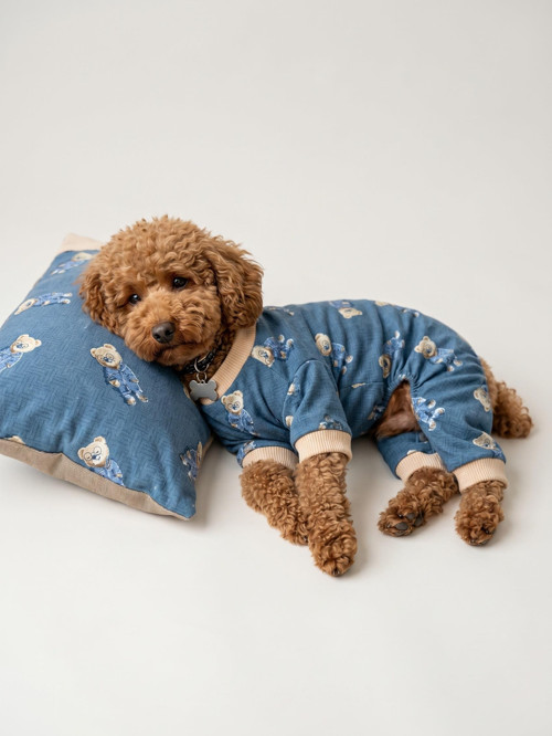 Teddy Blues Uyku Takımı | Ayıcık Desenli Pamuklu Penye Köpek Tulumu ve Mini Yastık | Küçük Irklar İçin | Tüy Dökülmesini Azaltır
