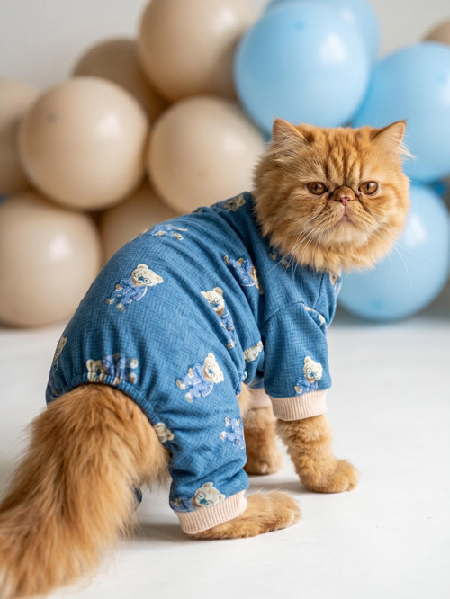 Teddy Blues Penye Kedi Tulumu | Ayıcık Desenli Kedi Pijaması | Küçük Irklar İçin