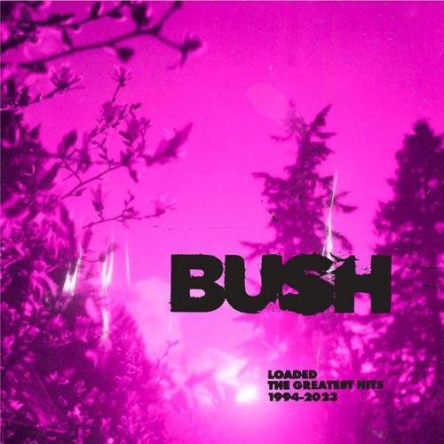Bush Loaded: The Greatest Hits 1994-2023(Cloudy Clear Vinyl) Plak