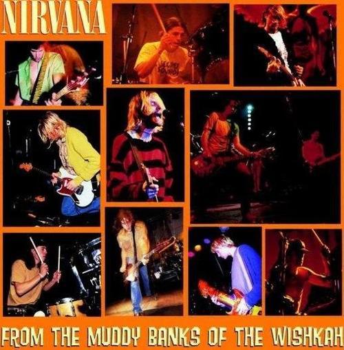 Nirvana From The Muddy Banks Of The Wishkah Plak