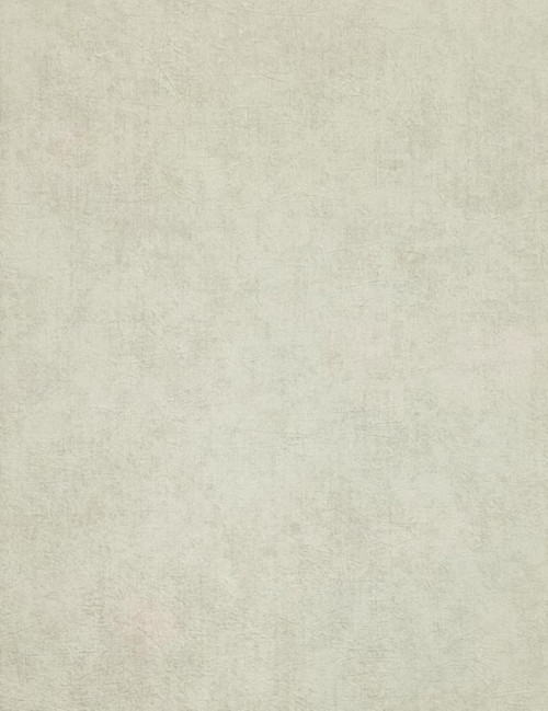 QUANTUM DUVAR KAĞIDI 3-005 (16.5m2)