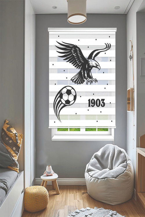 Kartal (İsim Yazılır)Dijital Baskılı Zebra Perde-Cocuk Odası-Stor Perde