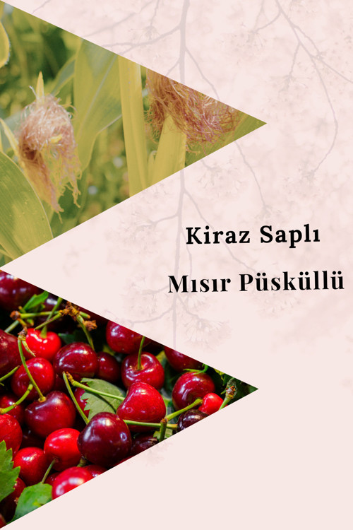 Kiraz Saplı Mısır Püsküllü Detox Çayı – 40’lı Bitki Bazlı Süzen Poşet 9 Bitki Karışımı
