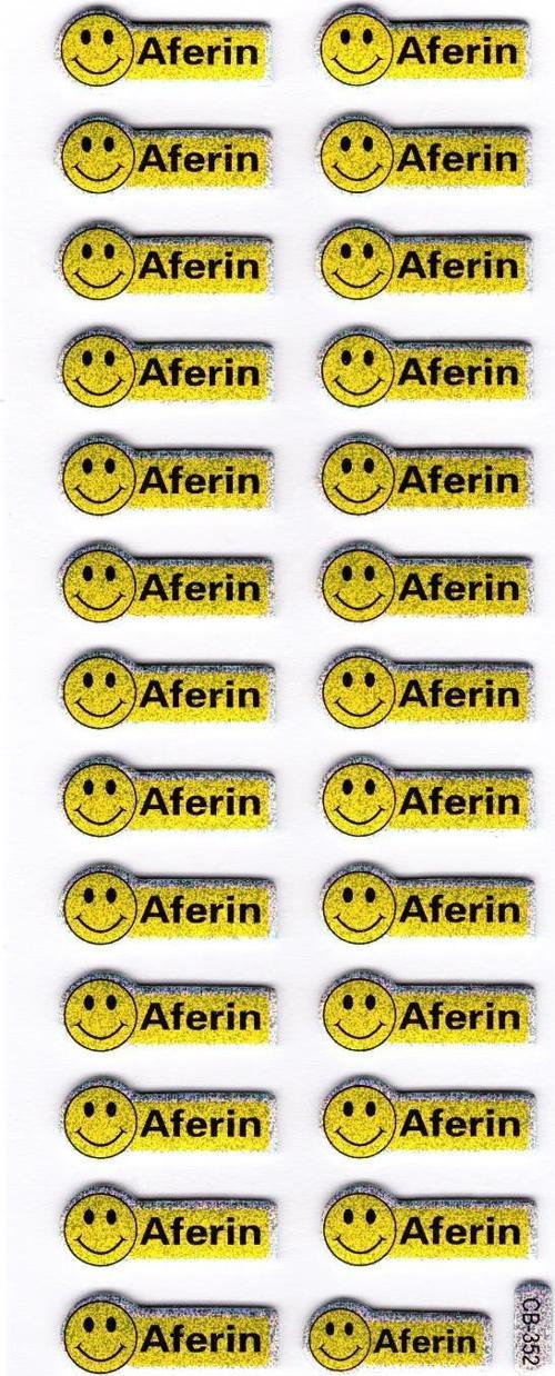 Sticker Kabartmalı Stiker Defter, Planlayıcı Etiket Aferin Etiketi (cb352) 16x7 cm