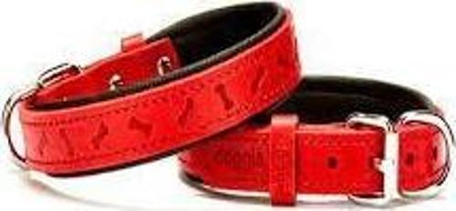 KONFOR DERİ KEMİK DESENLİ BOYUN TASMASI KIRMIZI 3X42-50CM