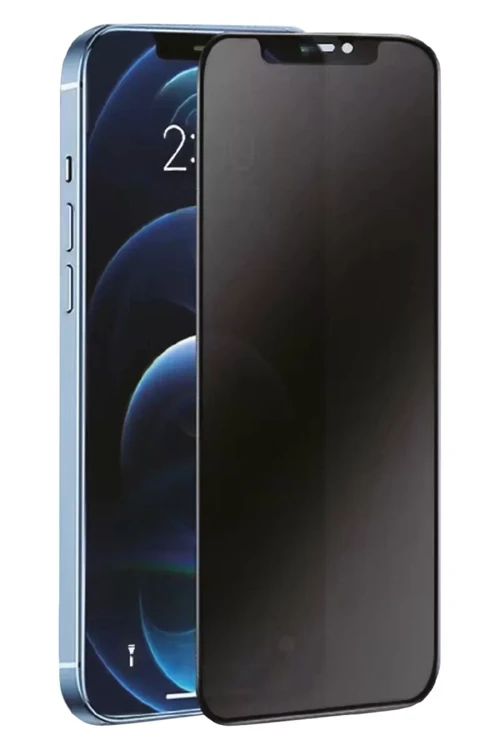 Newface Samsung Galaxy S25 3D Antistatik Hayalet Cam Ekran Koruyucu
