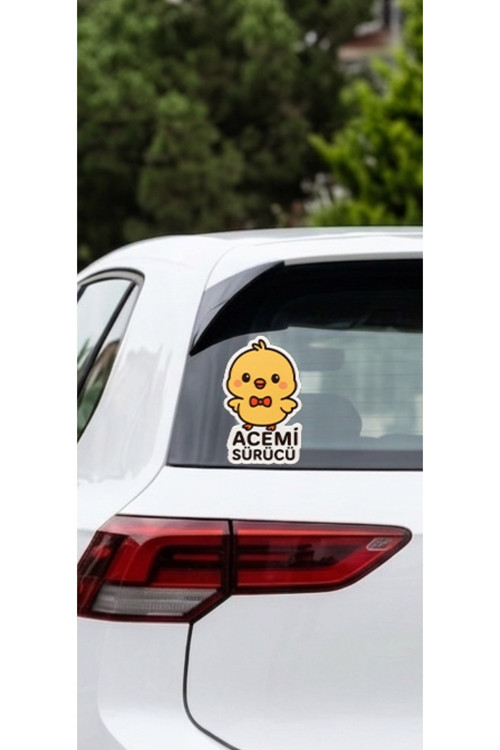 Acemi Sürücü Oto Sticker 7x15 cm