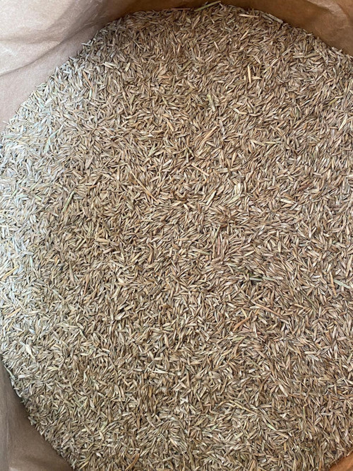 Çim Tohumu Yerli 6 Karışım 1 Kg
