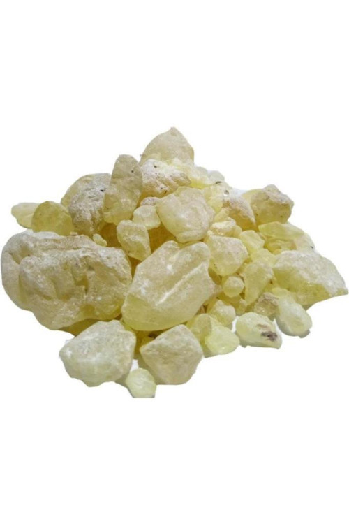 Saf Doğal Sandaloz Sakızı Tane 250 Gram Sandoloz Sandaroz Sandoroz