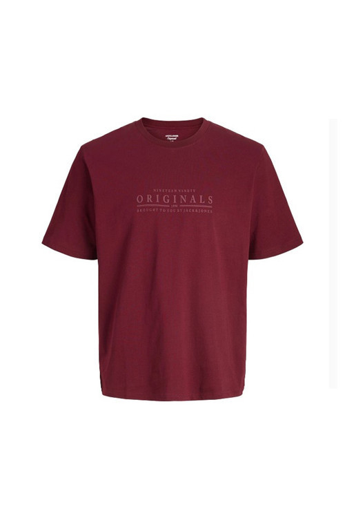Jack & Jones Jorcatskills Erkek Tişört
