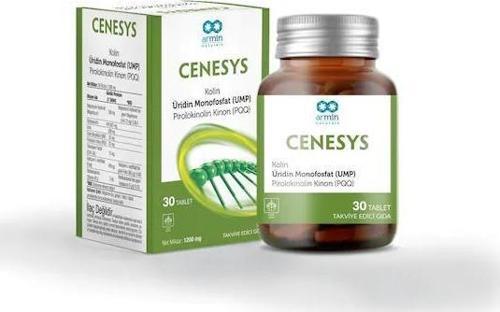 Cenesys 1200 mg 30 Tablet 8699910802433