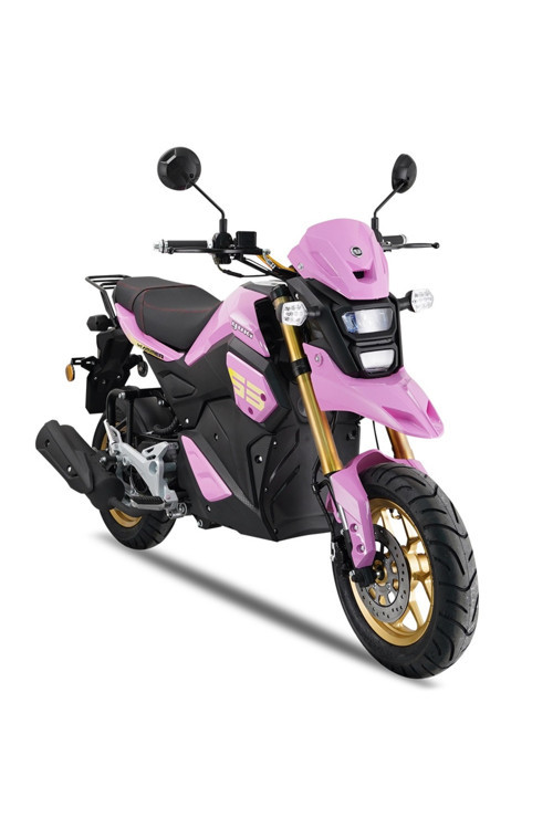 HAMMER 50CC