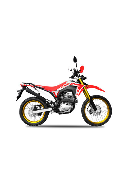 VİCTOR 250CC