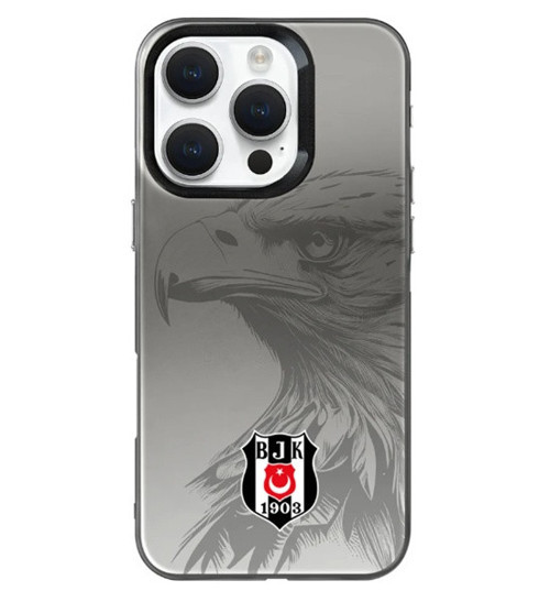 Beşiktaş Telefon Kılıfı İphone 11 Pro Lisanslı