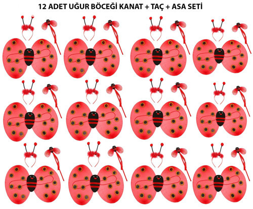 Uğur Böceği Kostüm Seti - Kanat, Taç, Asa 12 Adet