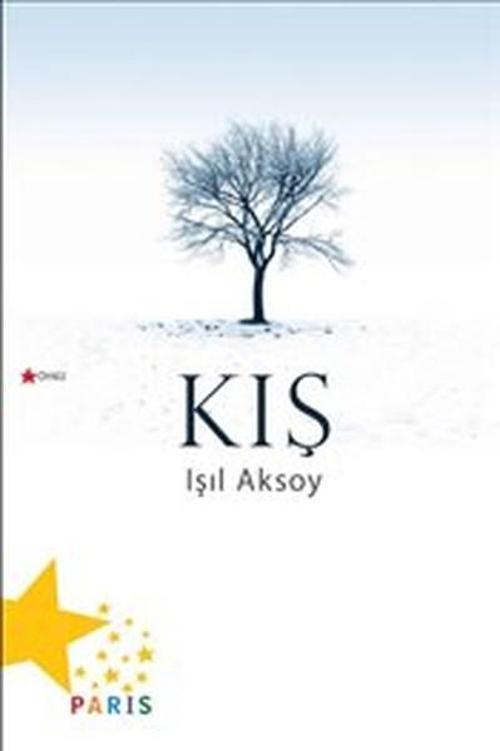 Paris Kış